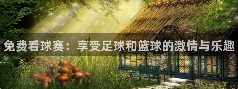 免费看球赛：享受足球和篮球的激情与乐趣