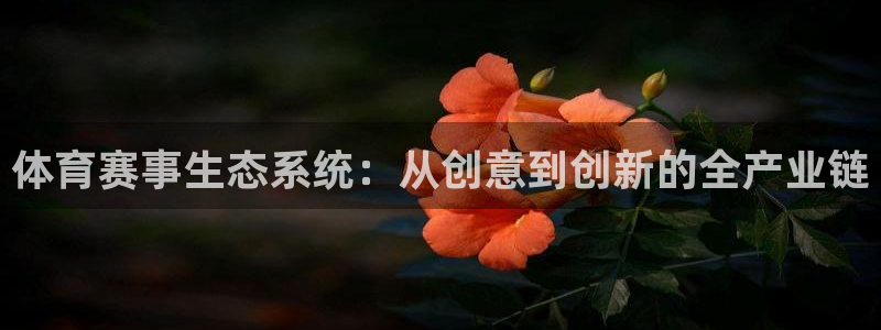 体育赛事生态系统：从创意到创新的全产业链