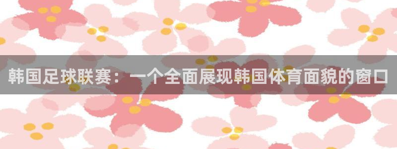 韩国足球联赛：一个全面展现韩国体育面貌的