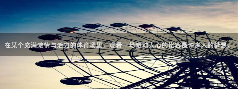 在某个充满激情与活力的体育场里，观看一场
