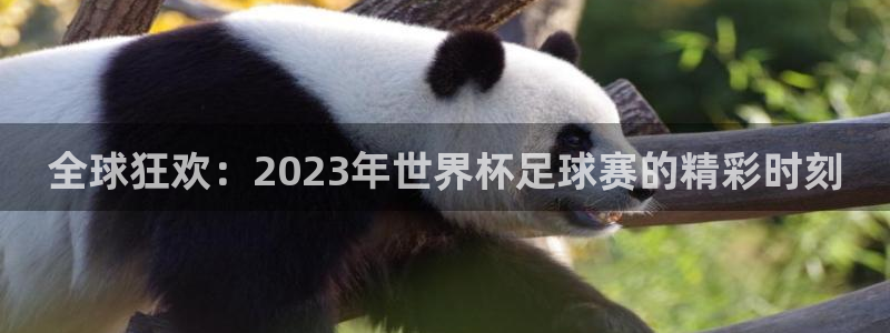 全球狂欢：2023年世界杯足球赛的精彩时