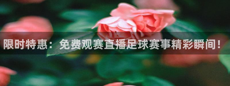 限时特惠：免费观赛直播足球赛事精彩瞬间！